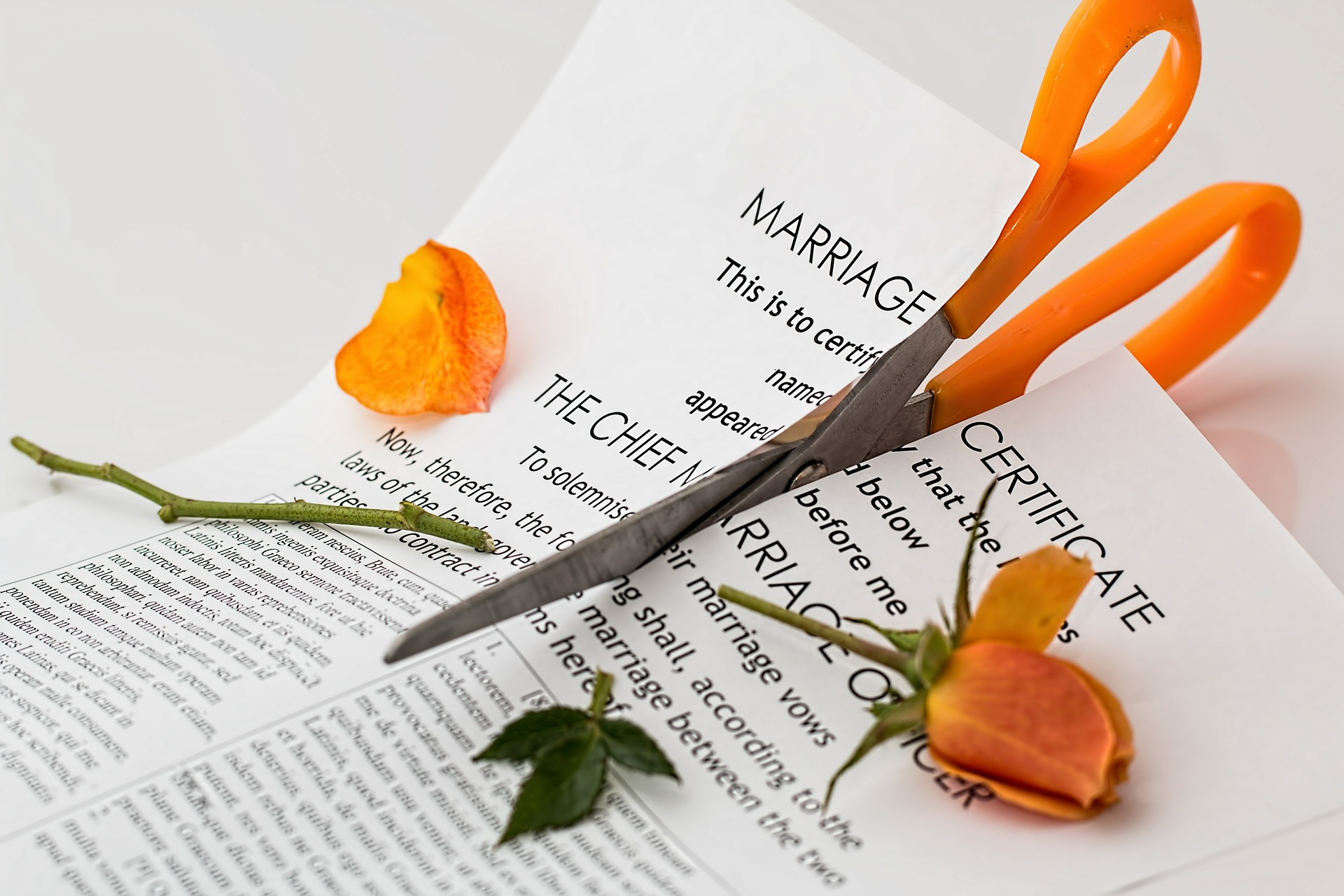 Trámites necesarios para un divorcio